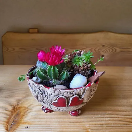 Almzeit Mit Infrarotkabine Apartmán