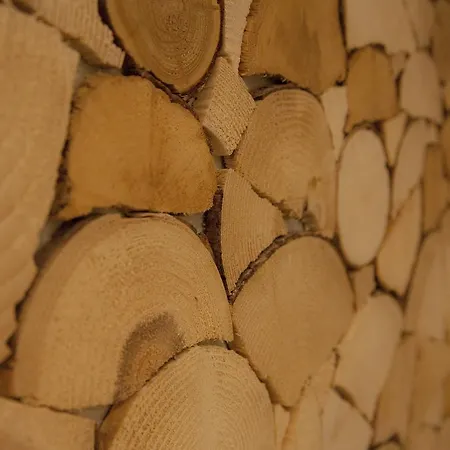 Almzeit Mit Infrarotkabine * Grosssolk