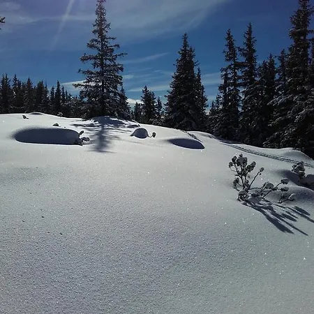 Apartmán Almzeit Mit Infrarotkabine *