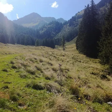 Apartmán Almzeit Mit Infrarotkabine Grosssolk