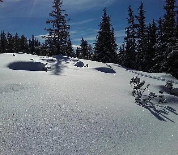 Appartement Almzeit Mit Infrarotkabine *