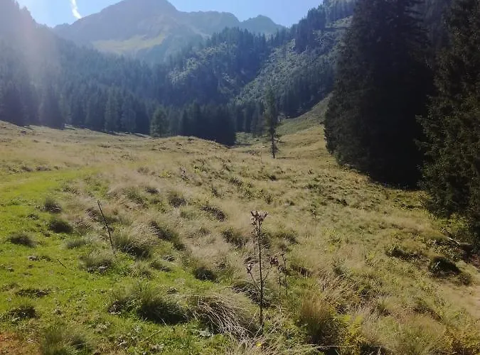 公寓 Almzeit Mit Infrarotkabine Grosssolk